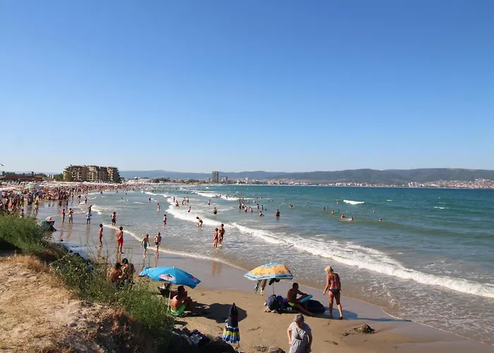 Sunny Day 6, 35 サニービーチ